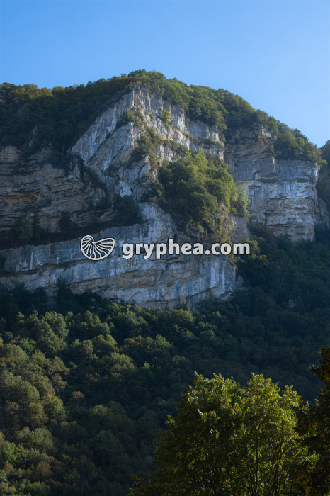 Pli faillé (Jura) - gryphea.com